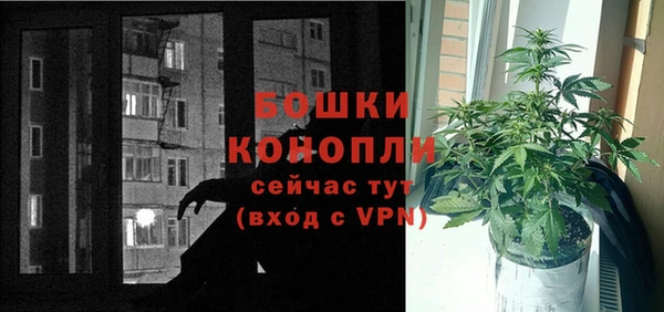 ГАЛЛЮЦИНОГЕННЫЕ ГРИБЫ Нефтегорск