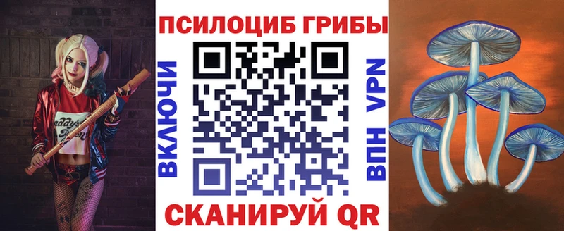где найти   hydra как зайти  Псилоцибиновые грибы мухоморы  Нестеровская 