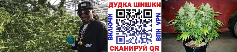 Каннабис AK-47  Нестеровская 